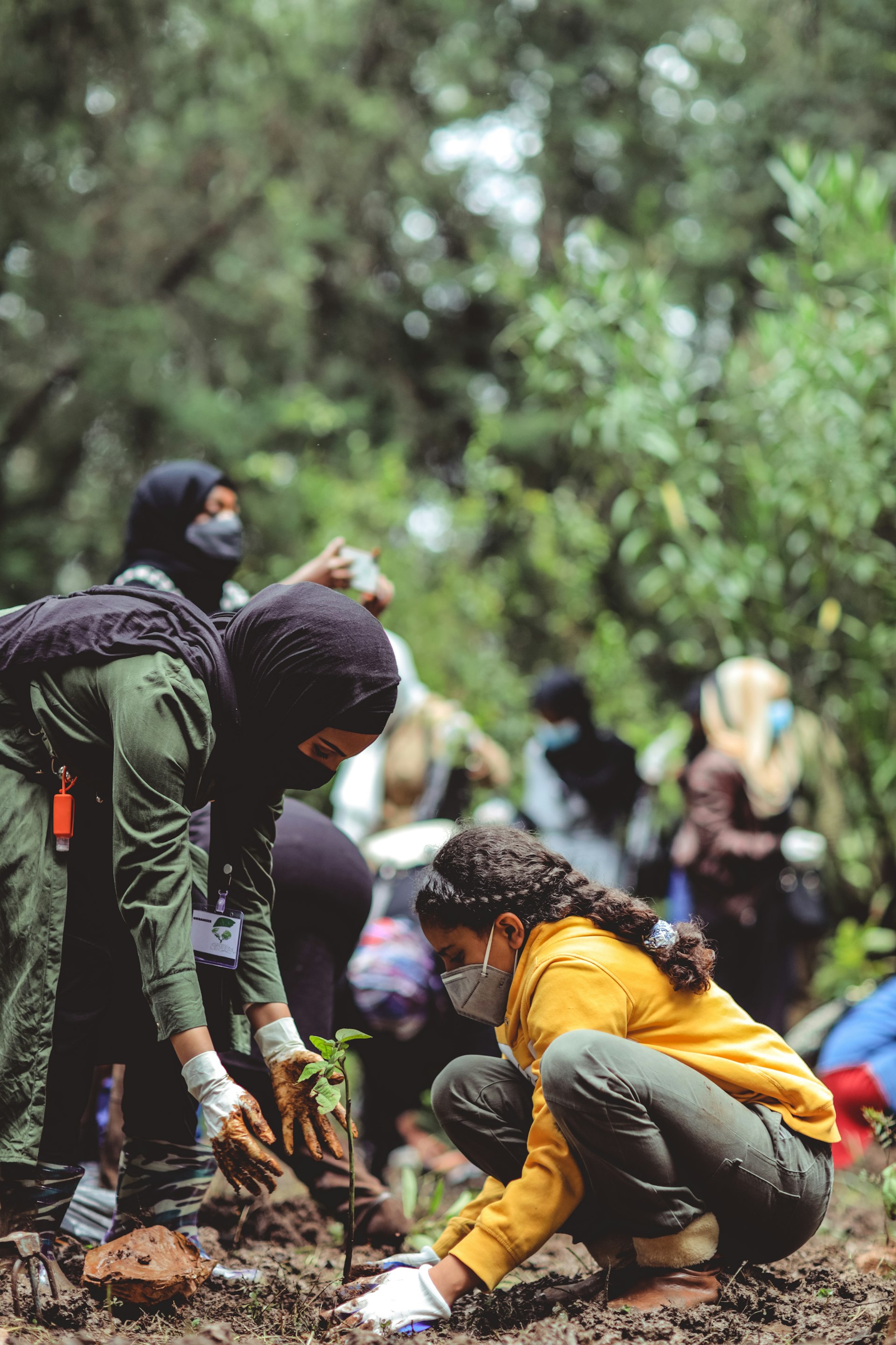 Community Volunteers Planting Trees and Environmental Action